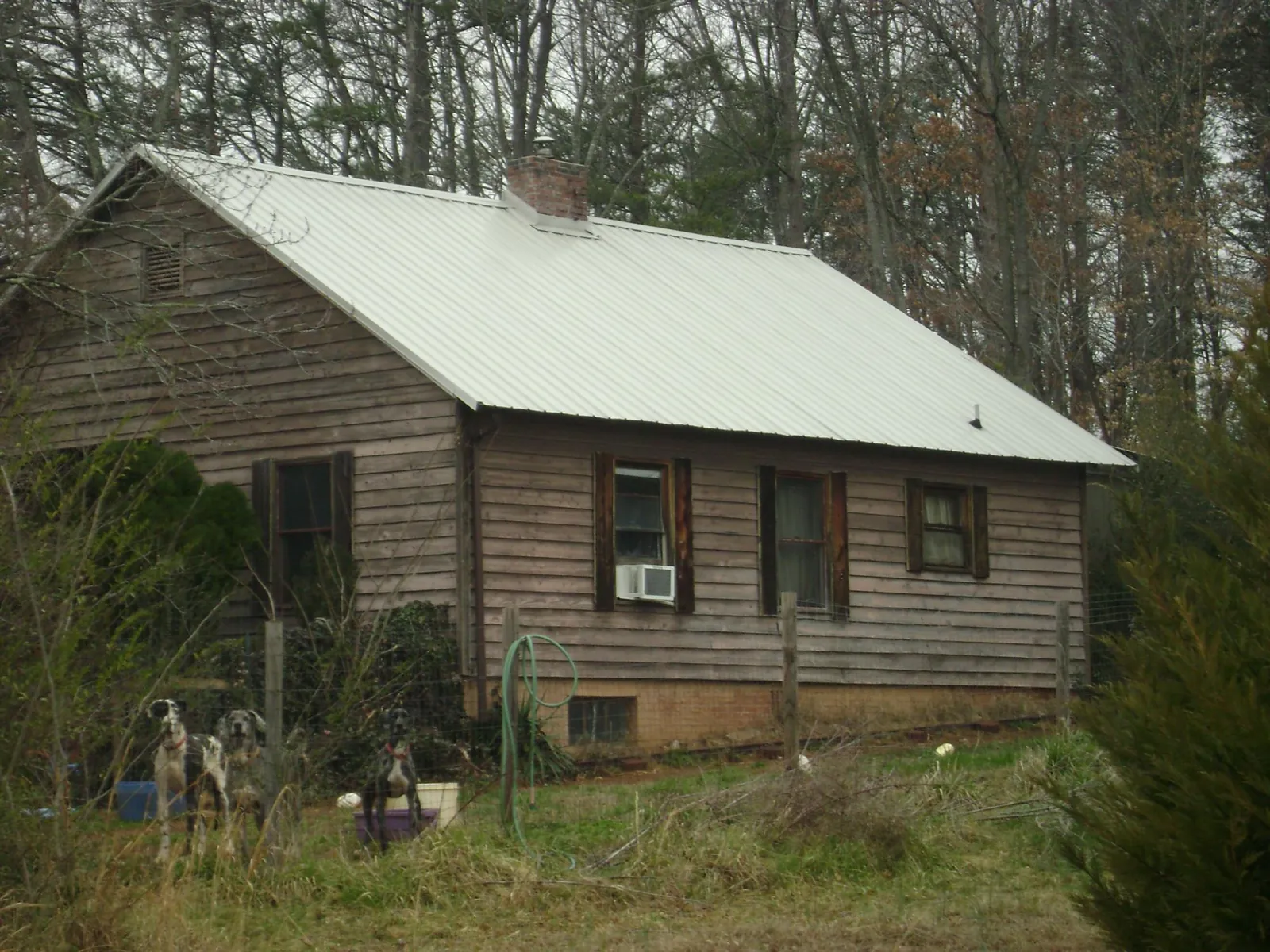 White metal roof on an old wood sided farmhouse, from a Asphalt Shingle Roof Repair job in Sevier